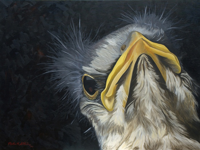 Are You Mocking Me? - 30x40 Oil on Canvas, Framed
